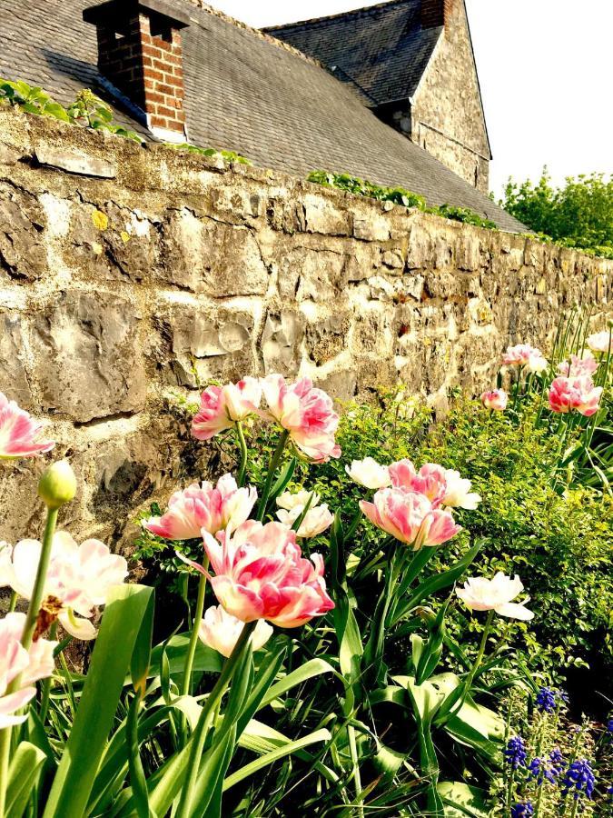 Gite La Petite Beurrerie Des Ardennes Celles  المظهر الخارجي الصورة
