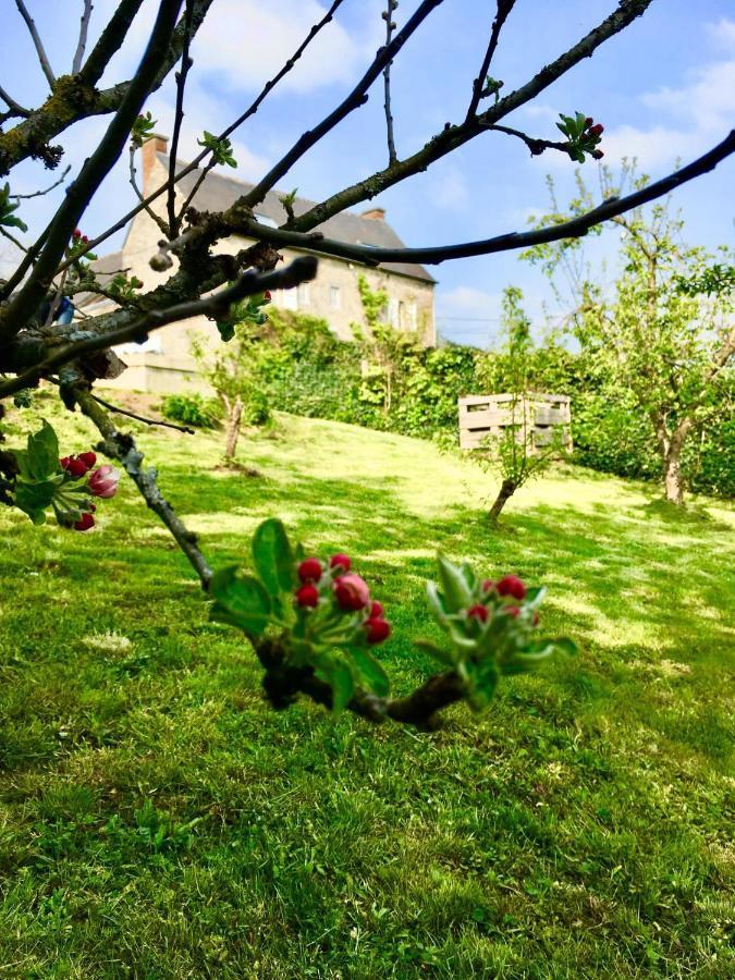 Gite La Petite Beurrerie Des Ardennes Celles  المظهر الخارجي الصورة