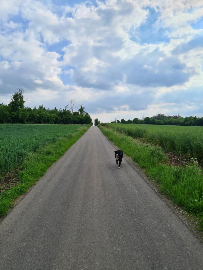 Gite La Petite Beurrerie Des Ardennes Celles  المظهر الخارجي الصورة