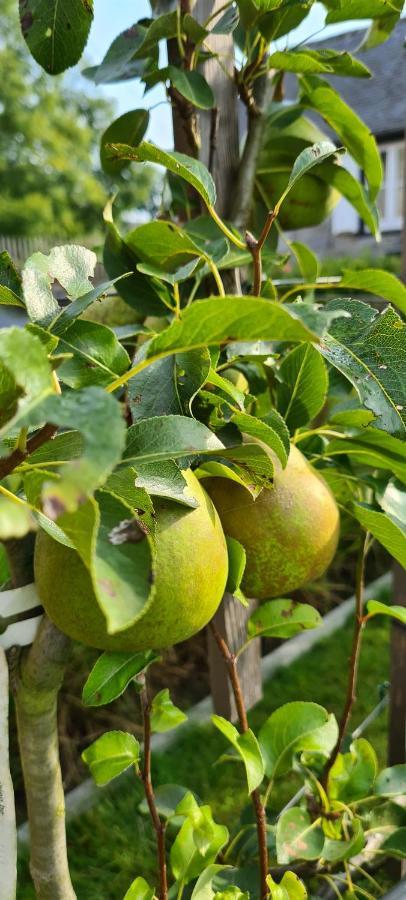 Gite La Petite Beurrerie Des Ardennes Celles  المظهر الخارجي الصورة