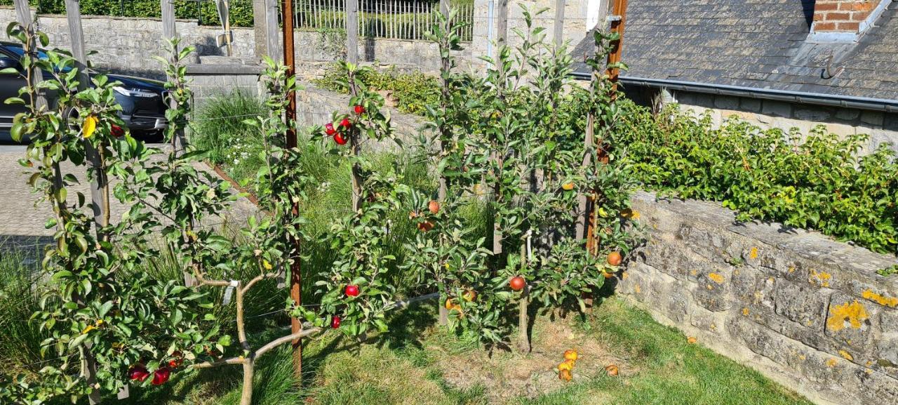 Gite La Petite Beurrerie Des Ardennes Celles  المظهر الخارجي الصورة
